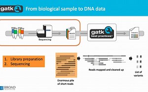 S2. GATK4 WORKSHOP系列【1080p】高通量测序数据介绍