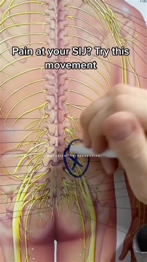 9.6M views · 37K reactions | If your lower back or hip feels locked or uneven, your SI joint might be the culprit. Do this exercise to realign, release tension, and finally move pain-free again. #fblifestyle #sijointpain #sciatica #backpain #PhysicalTherapy | Physical Therapy Session | Facebook