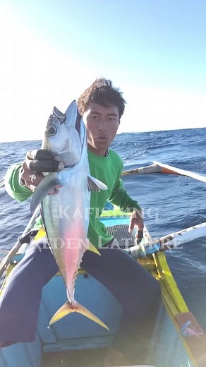Catch the Thrill: Blue Marlin Fishing Tips