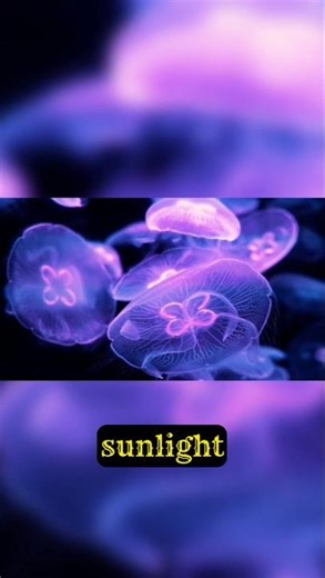 Creatures That Glow in the Dark - Bioluminescent animals
