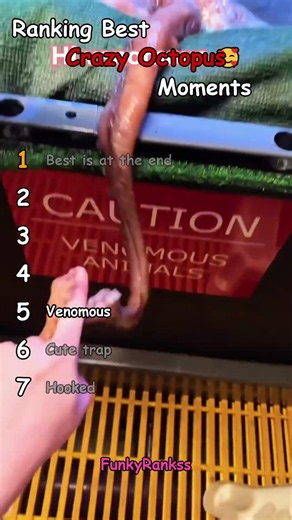 Ranking Best Crazy Octopus Moments!