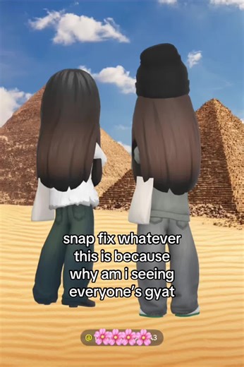 What Happened to Snapchat Hello Feature?