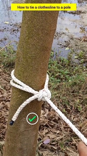How to tie a clothesline to a pole #diy #knots #hacks #tips #shorts #shortsfeed