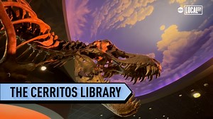 Cerritos Library is an immersive experience with themed reading rooms, art, an escalator and a wall-sized aquarium.