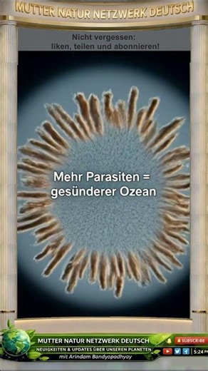 Die Natur heilt sich selbst #NaturNachrichten #KlimaHoffnung #RettetDieErde