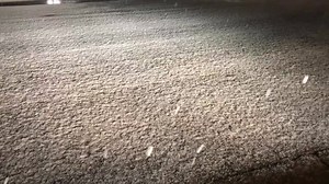 40K views · 580 reactions | It’s snowing in Lubbock! ❄️❄️☃️ Please drive safely. For the latest on the forecast download our free KCBD Weather App. More info: iTunes: https://apple.co/1CPumEW Android: https://bit.ly/2knmH1A Main weather page : www.kcbd.com/weather | KCBD NewsChannel 11 | Facebook