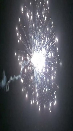 Zink 905 - Weiße Blinker / 75g