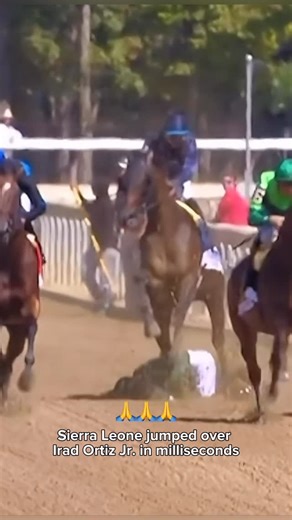 HORSE RACING CLUB on Instagram: "🙏 WHAT A MIRACLE! 🙏 #SierraLeone • 🇺🇸 🙏 Sierra Leone jumped over Irad Ortiz Jr. in milliseconds. • • • 🇪🇸 🙏 Sierra Leone brincó sobre Irad Ortiz Jr. en milisegundos. • • • #Horse #Horses #HorseRacing #Instahorse #Lovehorses #Horseriding #Horselove #Horsesofinstagram #Thoroughbred #Racehorse #Thoroughbredhorses #fierceness #CaballosDeCarrera #KentuckyDerby #ThoroughbredHorse #TripleCrown #secretariat #iradortiz"