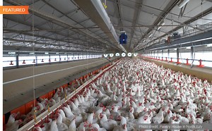 Some command prompt tricks you may or may not know