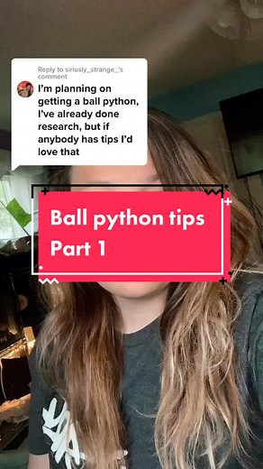 Ball Python Care Tips for Beginner Snake Keepers