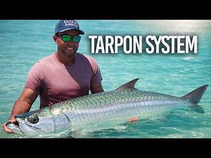 The Tarpon Guide Most Anglers Wish They Had (Passes, Beaches & Bridges)