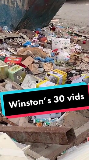 Winston: The Toughest Old Dog You'll Ever Know