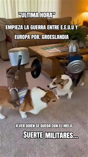 #dúo con @SillyZone #funnyanimals #Lanjaron #politica