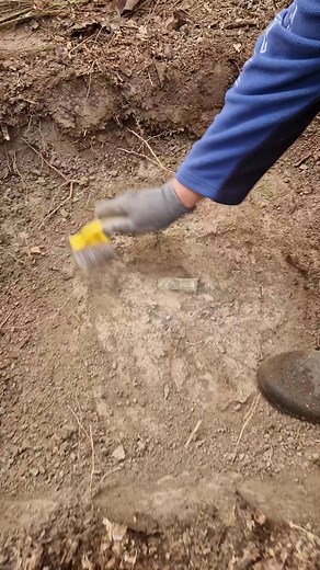 1K views · 33 reactions | Celt #rodetecting | Davos Tiberius | Facebook