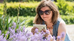 Mit Apps Pflanzen und Tiere bestimmen