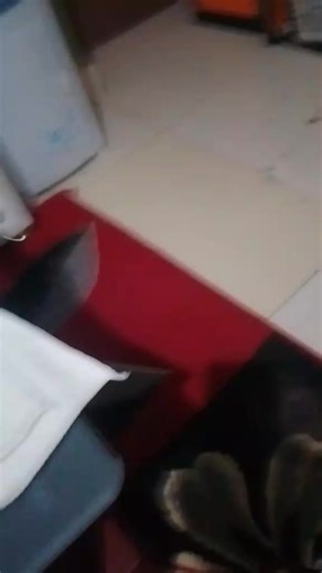 Adventist (@mission.accomplished59)’s videos with Won Da Mo - Mavins & Rema & Boy Spyce