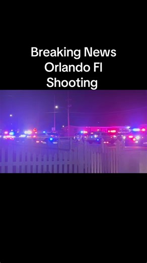 #TikTokCreatorSearchInsightsIncentive #goviral | orlando florida