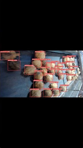 YOLO Object Detection Explained in 60 Seconds – Real-Time AI in Action
