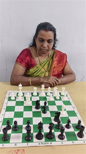 Trap chess game/short game of chess/chess/shorts