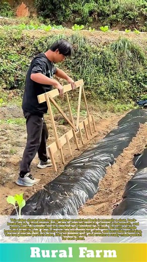 Simple Tool Saves HOURS Planting Vegetables Through Plastic Mulch: Easy Way to Plant on Mulched Beds