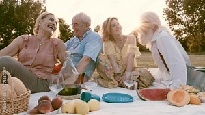 Group of seniors making party and having fun. Meeting old friends outdoor. Lifestyle moments together at the park Stock Video