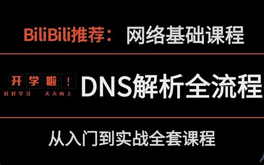 【B站最强】全网最新最详细《DNS解析全流程》全套课程，局域网维护，加密，防火墙等等，三天之内全部拿下！看完不会我倒立洗头