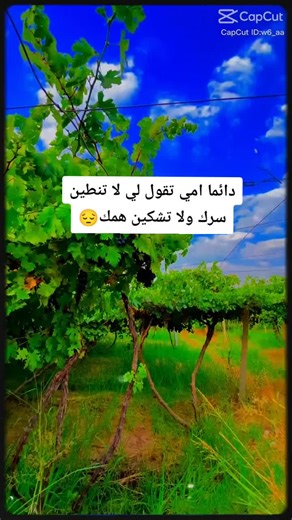 فيديوهات أنشأها اسينات 💗 (@df_bbbbbb) باستخدام الصوت الأصلي - رنا