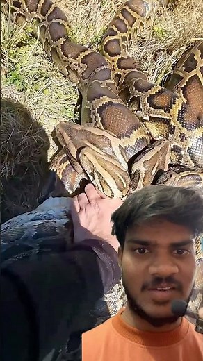 Python skin products are worth crores #shorts 🤯😳