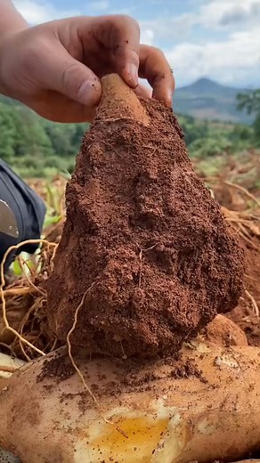 6.2K views | The EASIEST Beginner DIY project! ⚒️ #dixiebellepaint # #handmade #gift #diy | Enchanted Playthings | Facebook