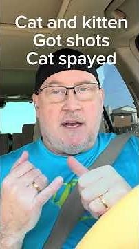 Understanding the spay or neuter process in your town for cats and dogs