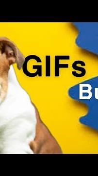 The Best Bulldog Reactions You Will Ever See