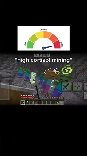 high cortisol vs low cortisol #minecraft