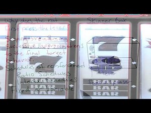 Schedules of reinforcement - Intro to Psychology