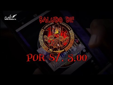 Envían saludos con STICKERS de “LOS PULPOS” y “LA JAURÍA” a 5 SOLES en TIKTOK