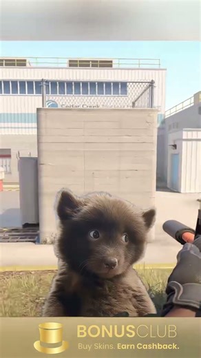 POV: You play CS2 all night long 😴