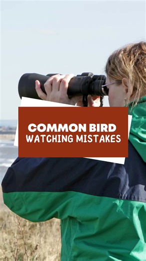 Avoid these common birdwatching blunders and see more birds! 👉 Full video on YouTube! #BirdWatchingTips #BirdingMistakes #BackyardBirding | Backyard Bird Center