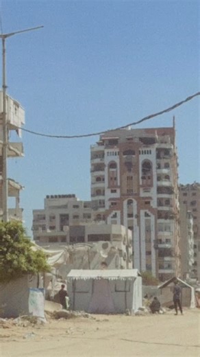 BOARD OF PEACE - Season 1 | Led By Donkeys