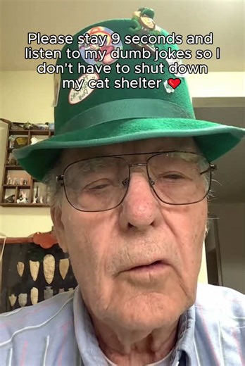 link in bio 🙏 follow and comment to help 🙏❤️🐱 #cats #cat #shelter #catrescue #fyp