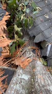 Tree splits house in half! 30 ton stick crane to the rescue! | Brittain's Tree and Crane Service