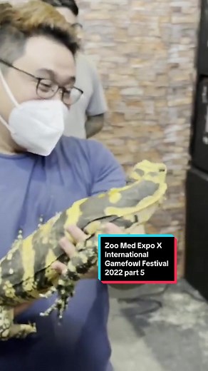 Crediball Pythons Reptile Farm on TikTok
