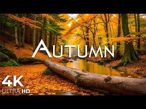 4K Autumn Forest / Relaxing Nature Video & River Sound [ September Golden Season ] 12 hours Ultra HD