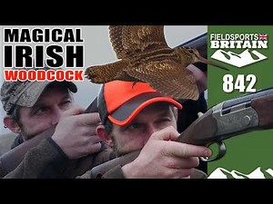 Fieldsports Britain – Magical Irish woodcock