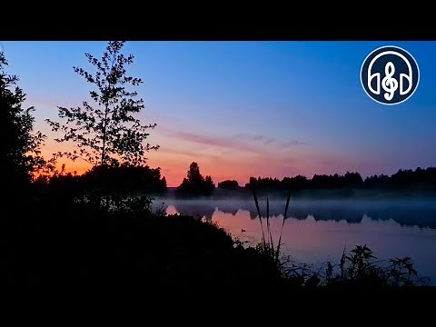 Singing of forest birds with cicadas at the night lake. Perfect for sleeping!