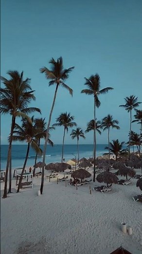 Punta Cana Resort Tour 🌴 Beach, Animals & Tropical Vibes | Caribe Deluxe Princess 🇩🇴
