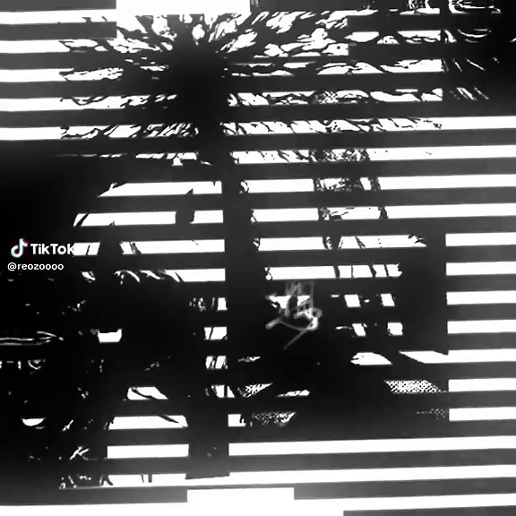 Eren Yeager and Armin Arlert: AOT Season 4 Highlights