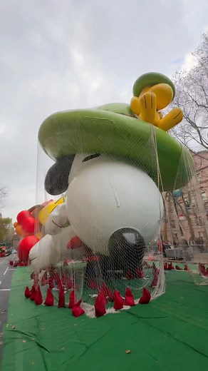 78K views · 3.1K reactions | ✨Tonight's the night! The Macy’s balloons are inflating into giants, from their sleepy flat selves to the giants you know and love. First started as a private overnight prep back in the 1930s, the public-facing "Inflation" show opened in 1994, and now it kicks off (in 2025) from 1-6 PM on the Upper West Side. | New York City Kopp | Facebook