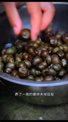 🐌 घोंघे का सूप बना दिया | ghonghe ka sup bna diya #shorts #shortsfeed #facts #chinesedrama #viral