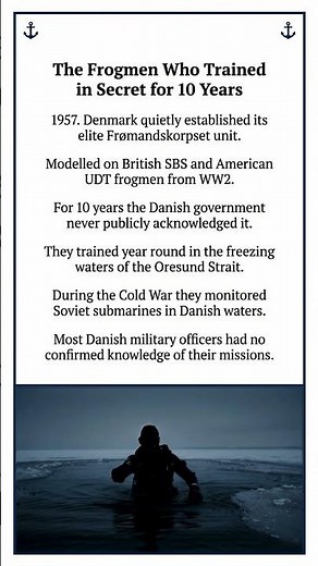 Danish Special Forces: The Frogmen Who Trained in Secret for 10 Years | Cold War #coldwar #shorts