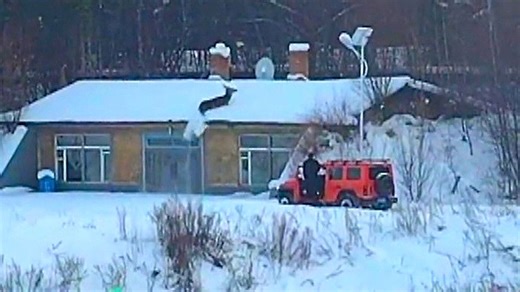 Escaped deer scrambles across snowy rooftop before being recaptured