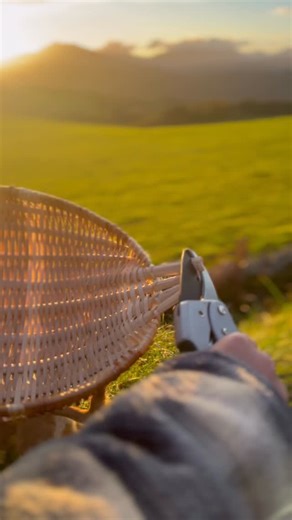 It’s been quite a journey with my basketry. Over the years, I’ve learned how much I need the balance between basketry and bowl-turning, two crafts that nurture me in different ways. Basketry is gentle and grounding, something I can return to when I need calm and stillness. Bowl-turning is full-body and alive, pulling me fully into the making and movement of it all. Each asks for something different, works with different materials, yet both bring me the same deep joy and purpose in creating. I ca